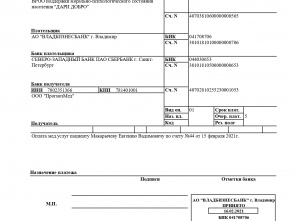 Платежное поручение N 13 от 16.02.2021_page-0001.jpg Нижний Новгород благотворительность